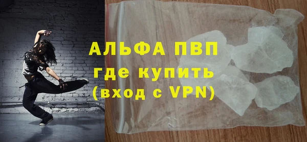 гидра Надым