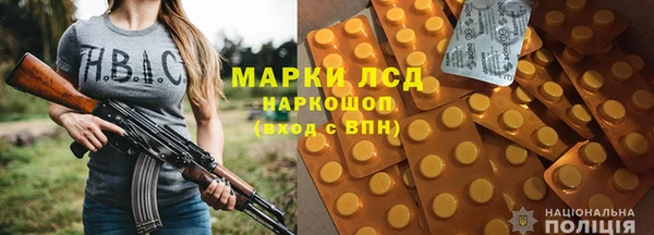 гидра Надым